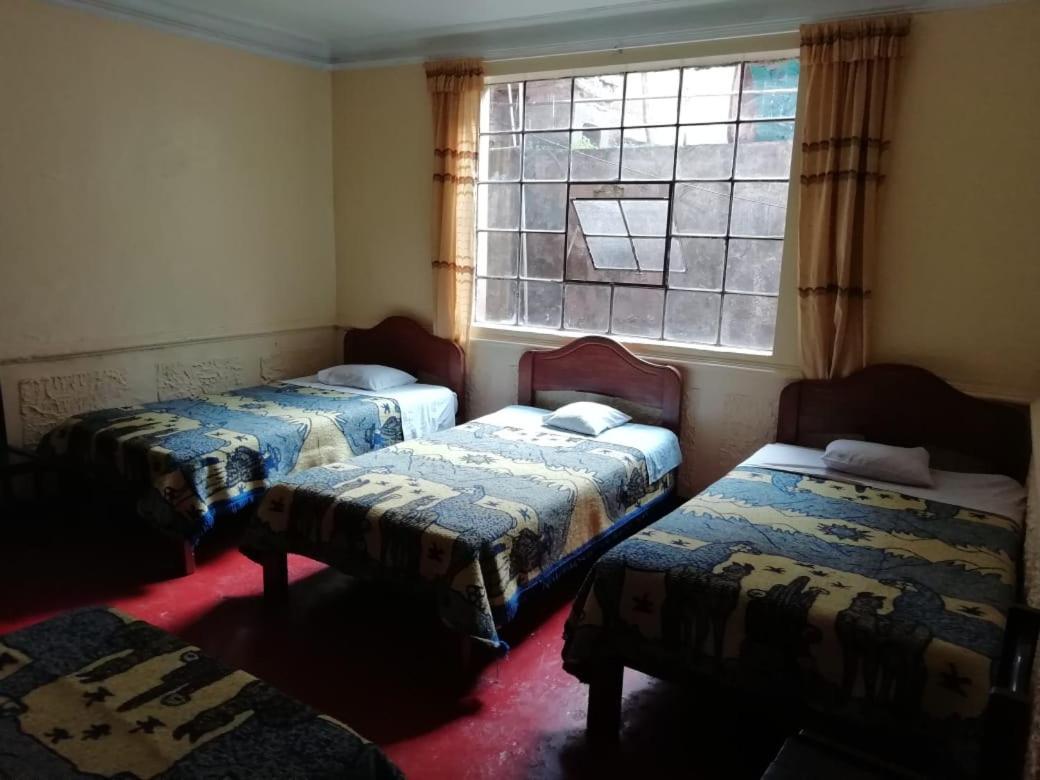 Auquis Ccapac Guest House كوسكو المظهر الخارجي الصورة