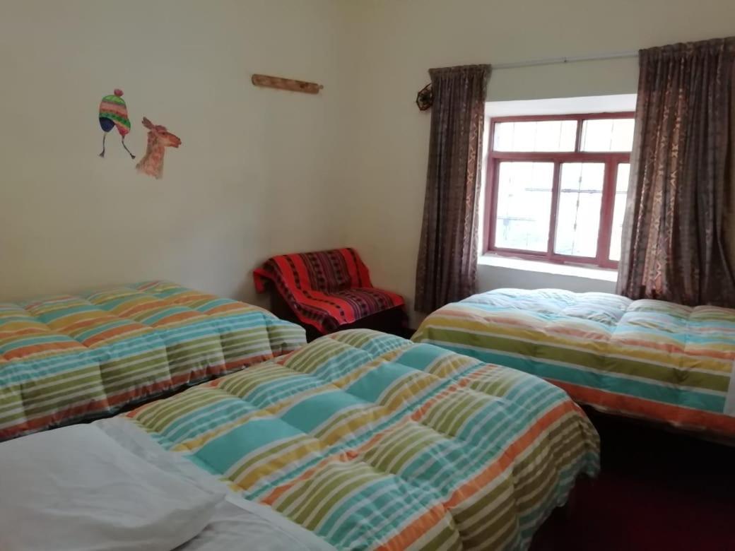 Auquis Ccapac Guest House كوسكو المظهر الخارجي الصورة
